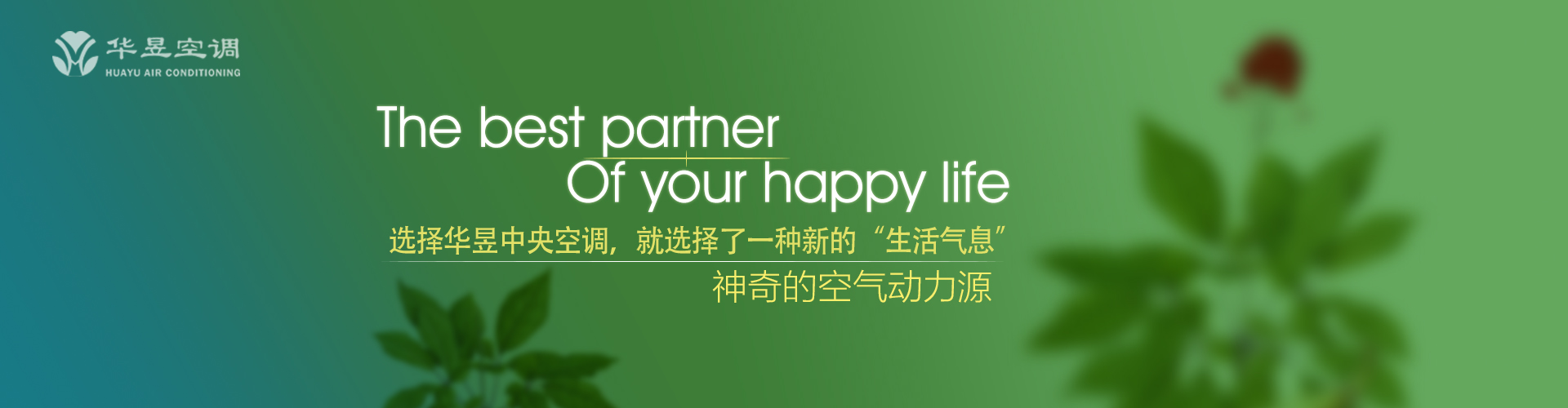 承欢膝下网